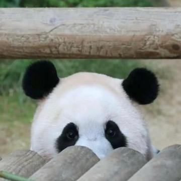 条