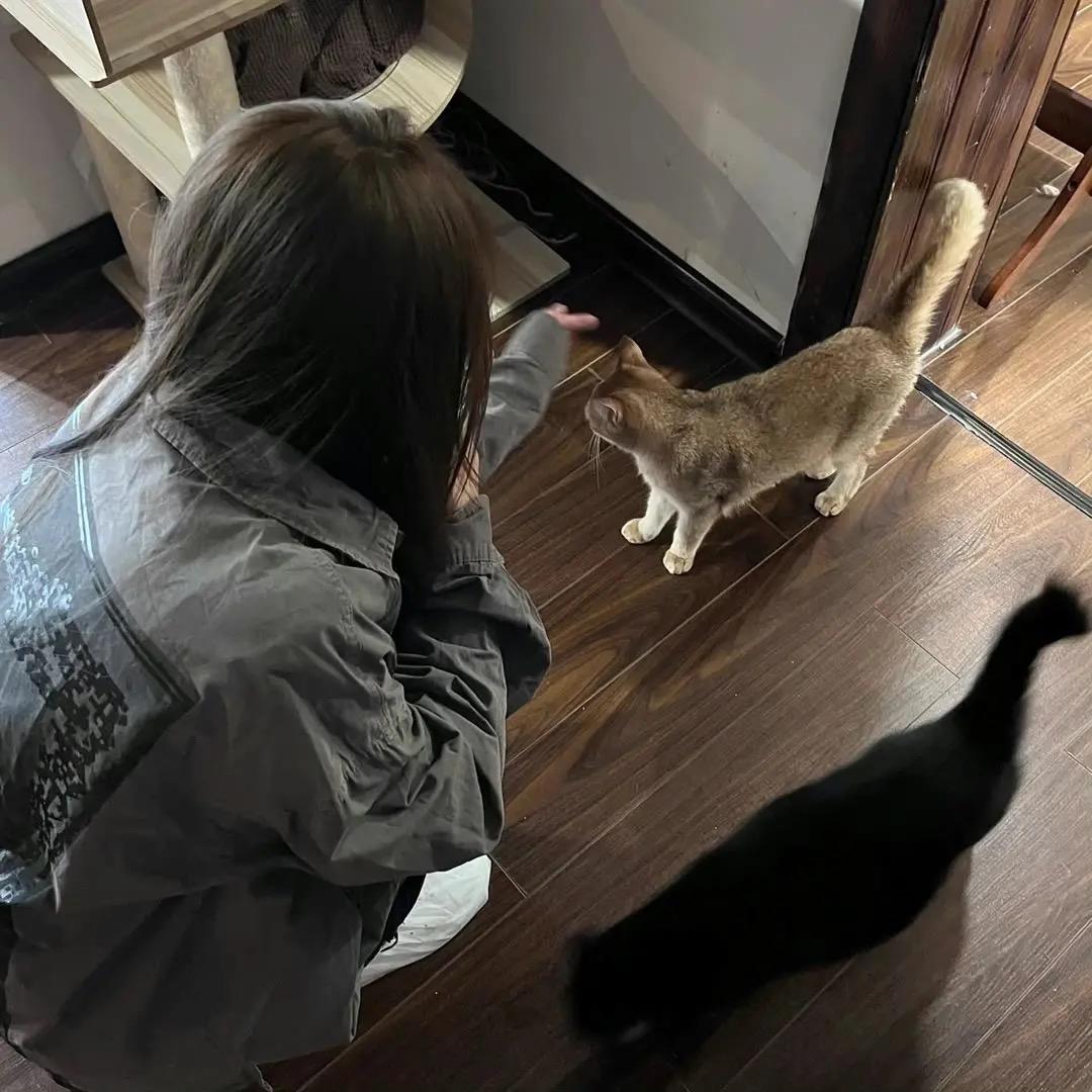 桑落