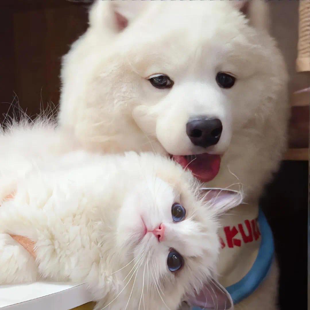 肥邦