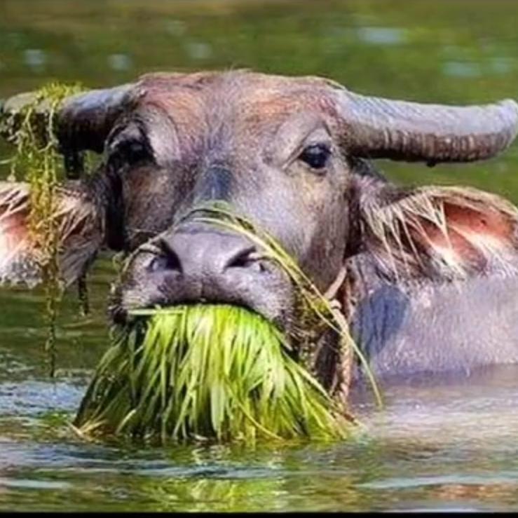 😈人生如戏👿