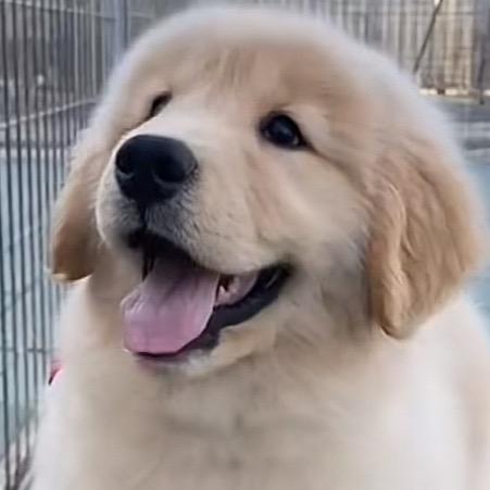 磨骨加🌶️🥊