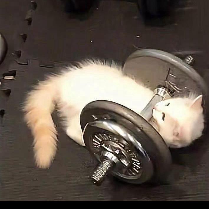 恭仔（三角洲行动）