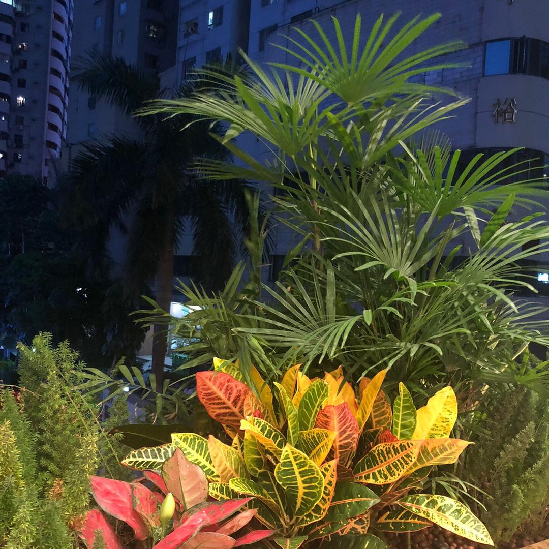 深圳市鑫福源园林（福运）