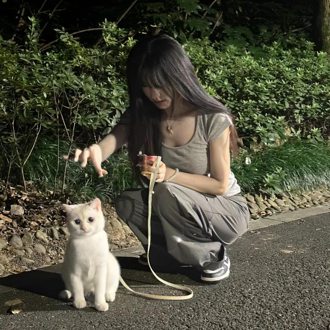 搬砖日记