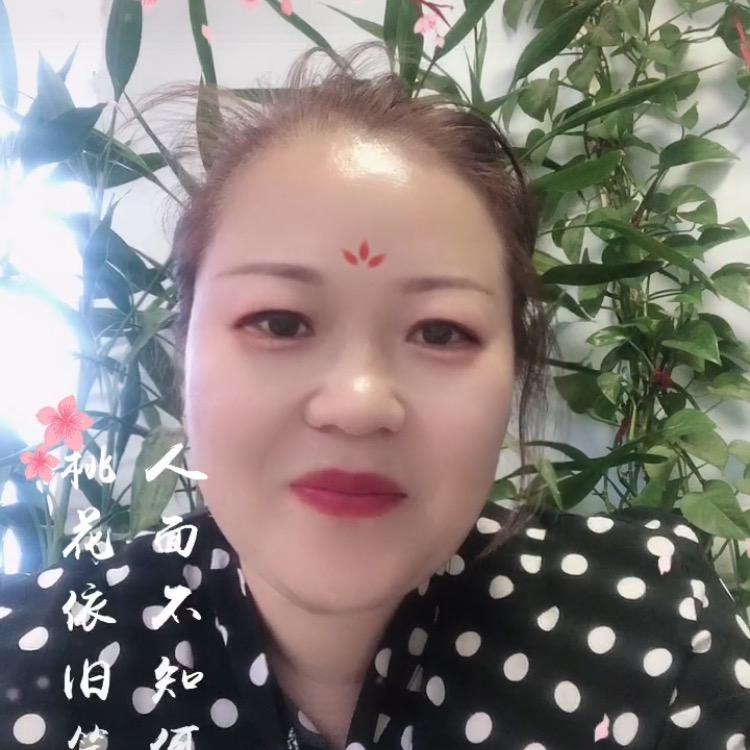 凤姐姐（拒聊、拒合拍）