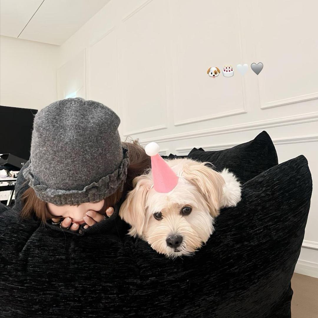 _painfullive🐈‍⬛