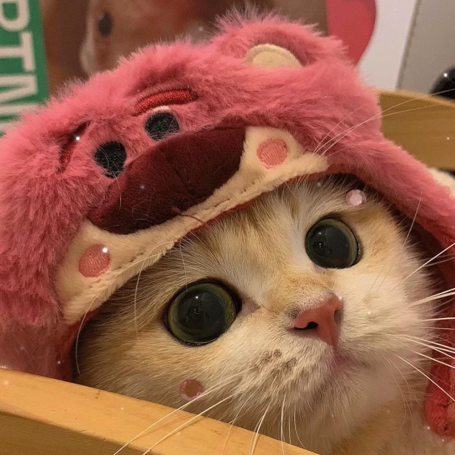 粉色草莓熊