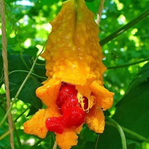 时光清浅，别在酒后心动