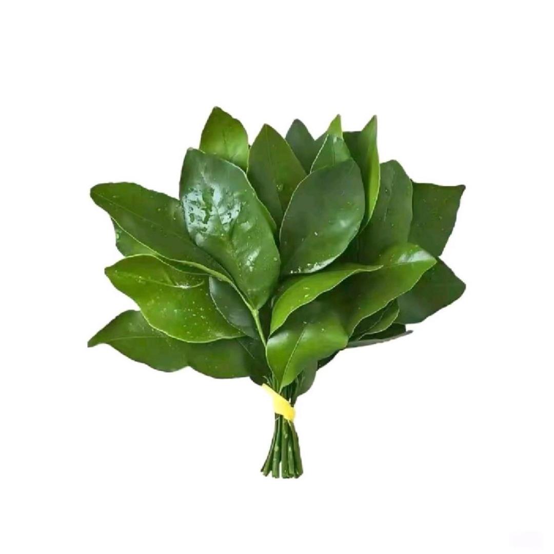 @今天开心么🌷