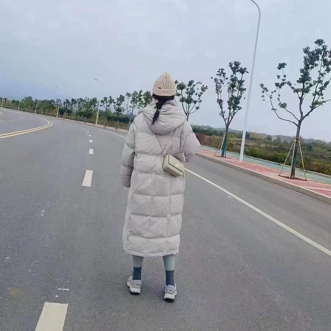 管你什么柿