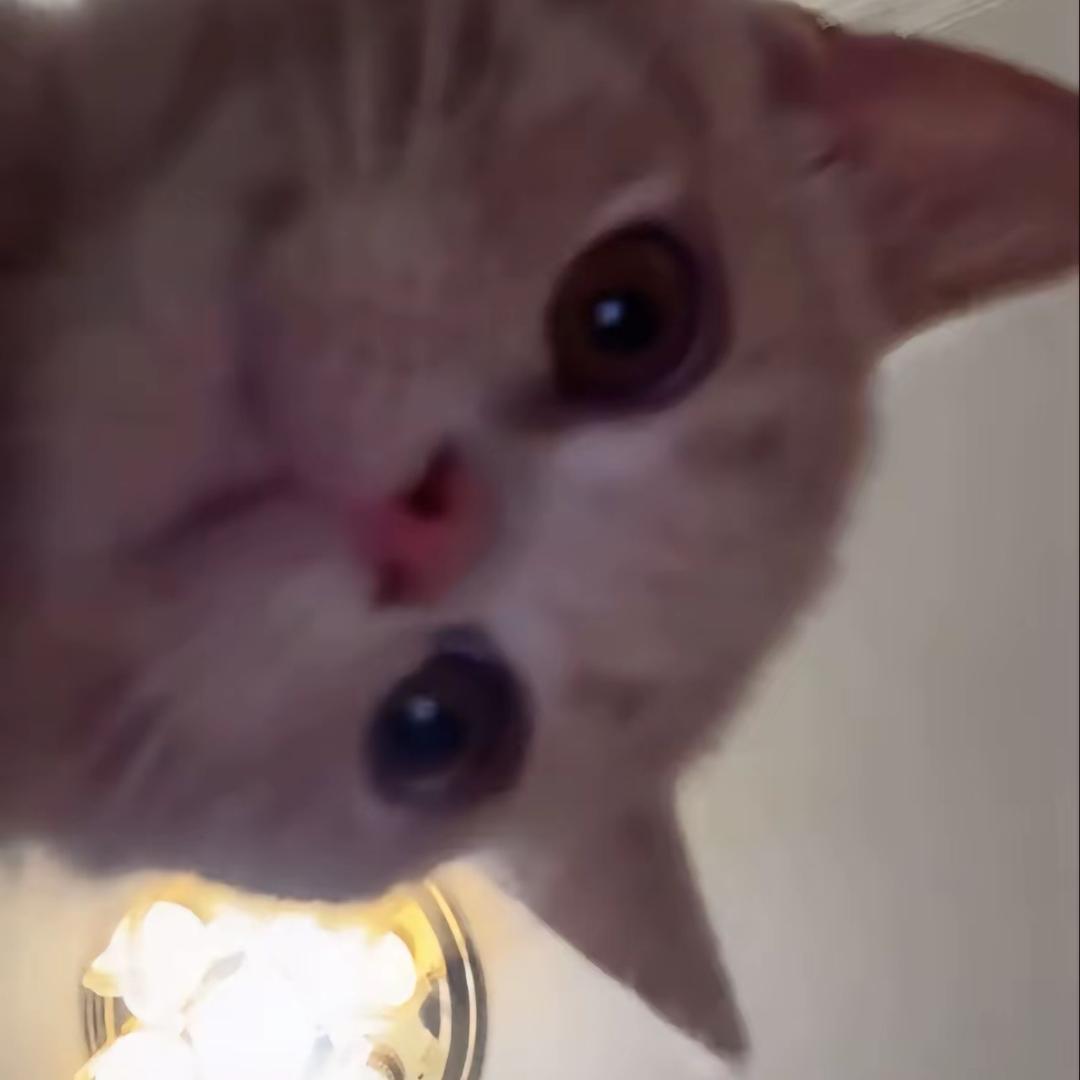 意意意