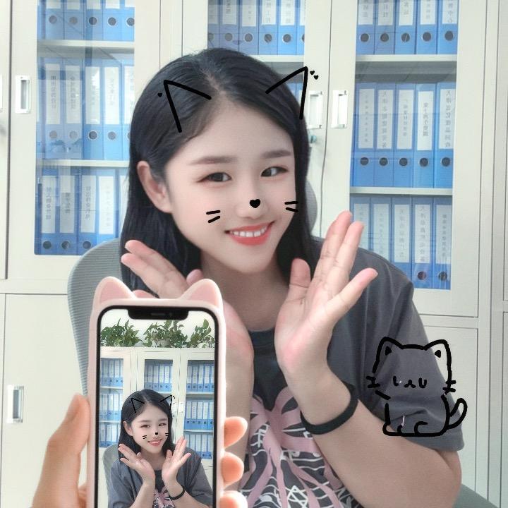 天津注册公司找崔会计