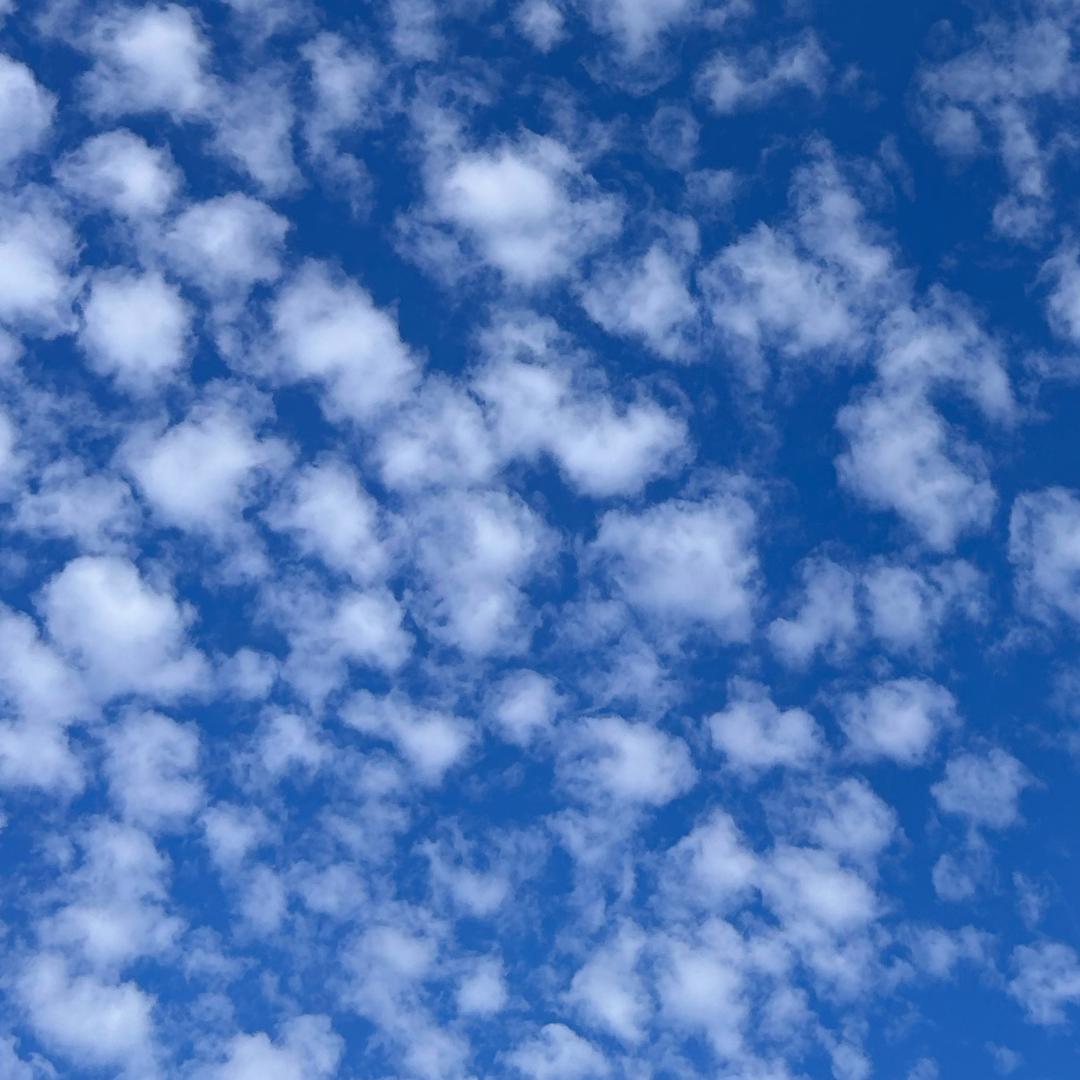 虎꧔ꦿ້໌ᮨ᭄এ