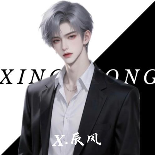𝑿.辰风