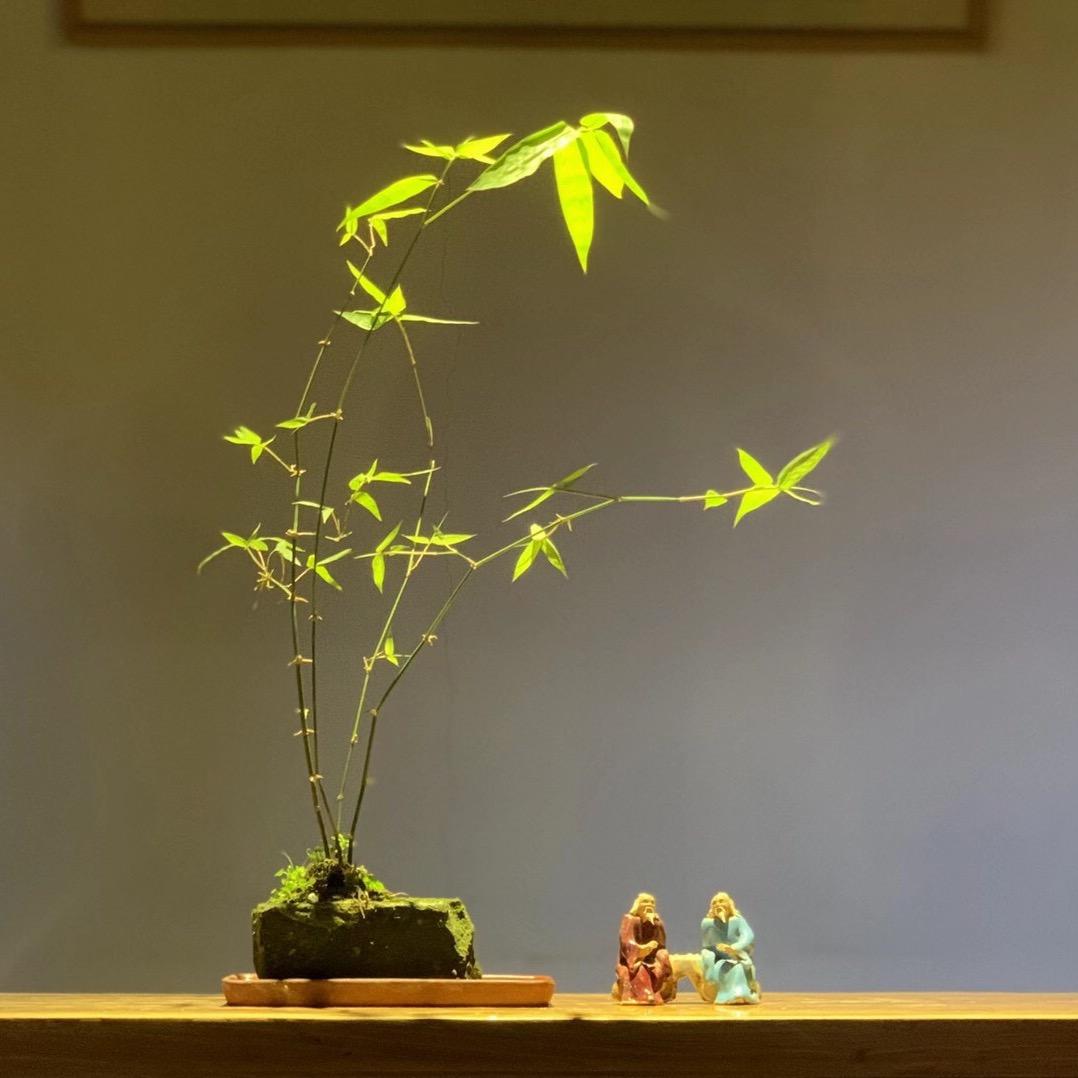 一幅山水画