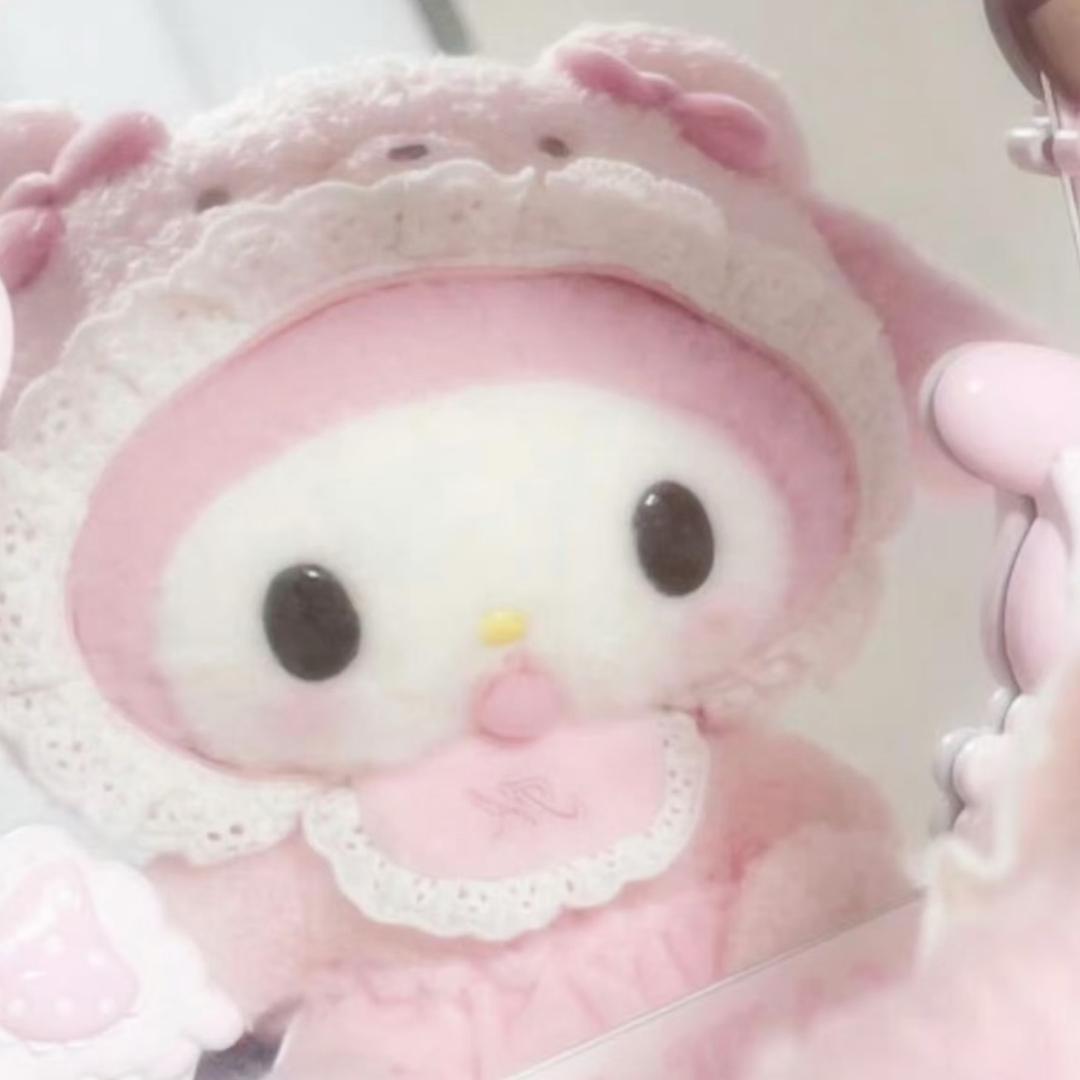 其实我是一只猫