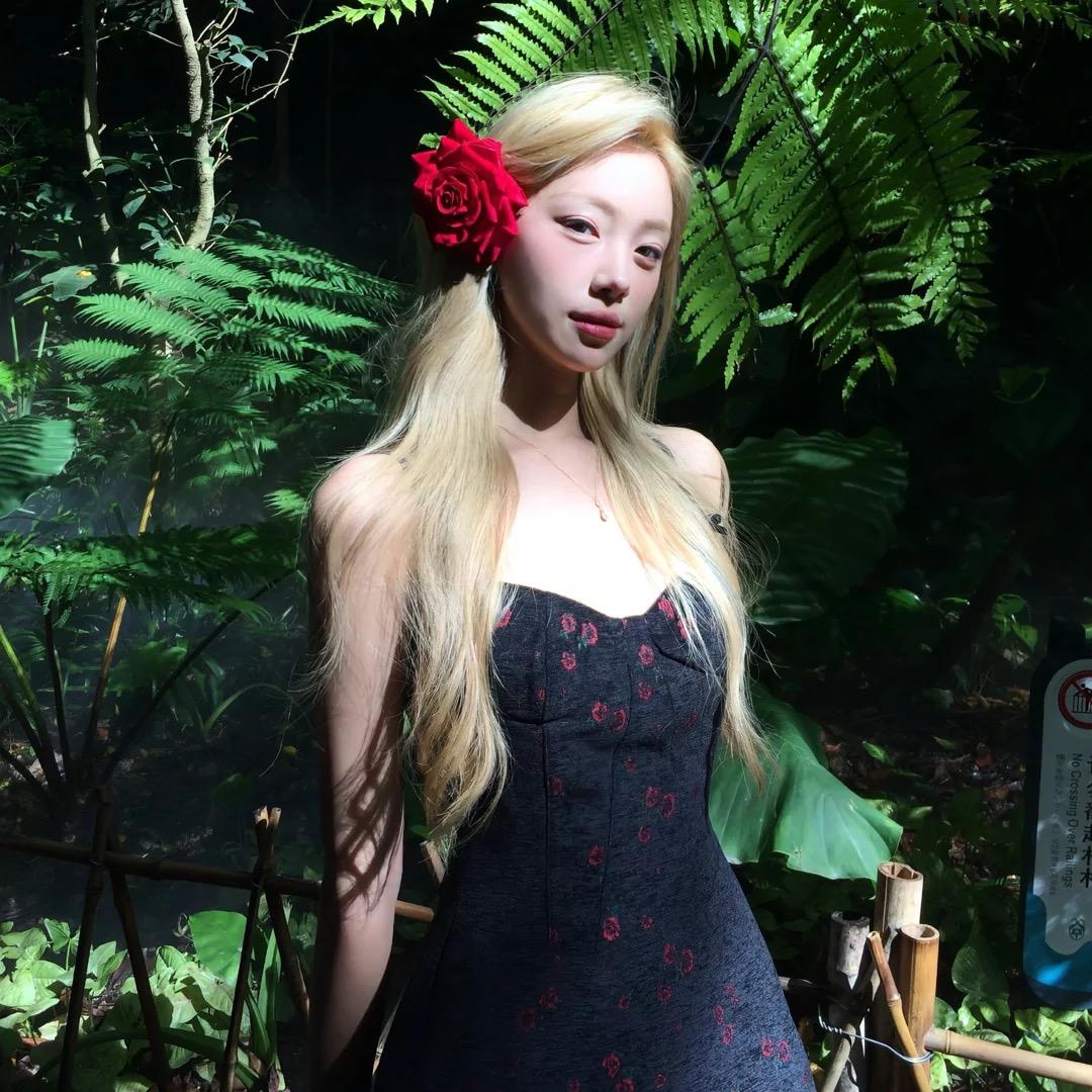 荔枝才是最好吃的