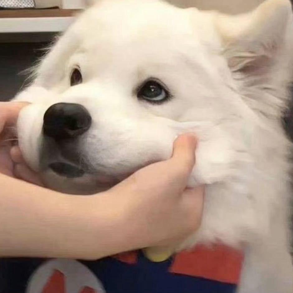 秦暮秋