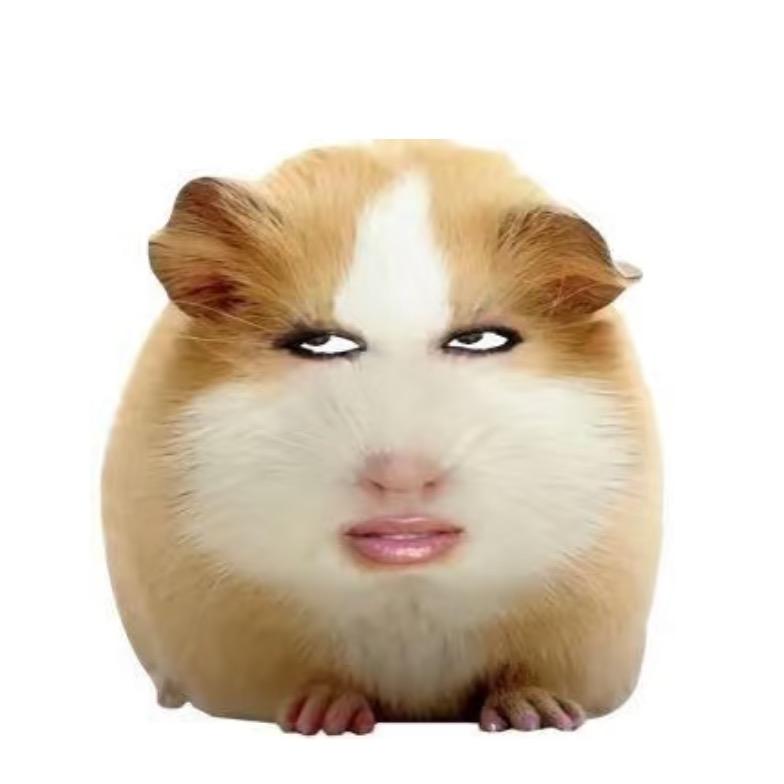 勇猛的椰子
