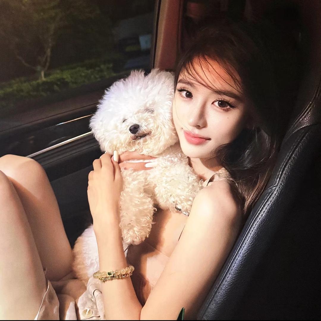 Yy🦊