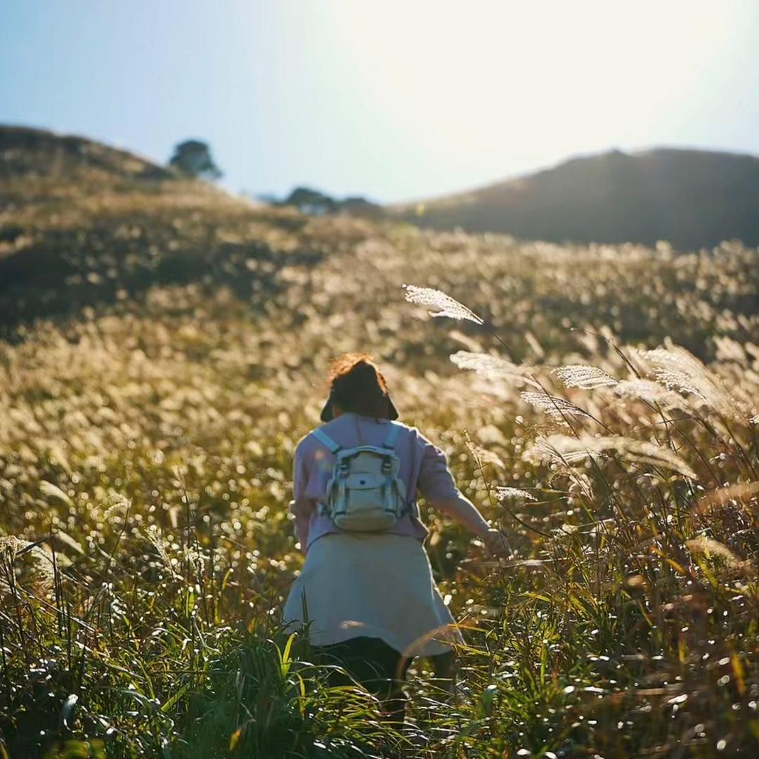 🌈美其__（幸运版）