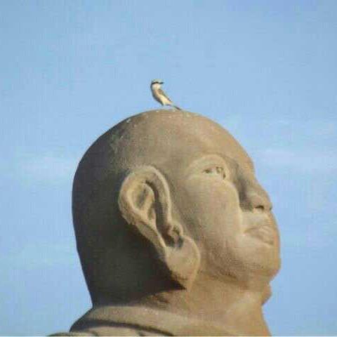 @大漠