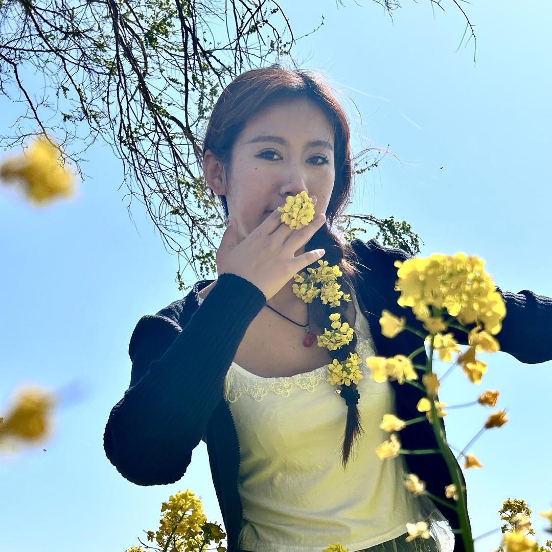 不爱香菜