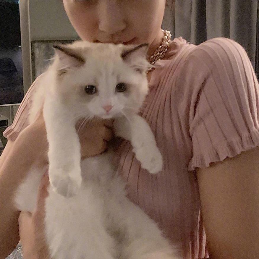 NNUNA草稿箱