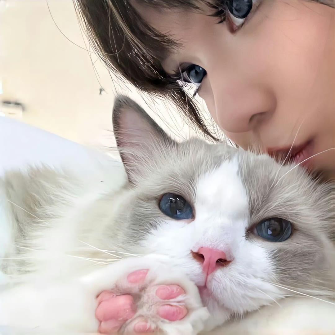 阿里嘎多美羊羊.