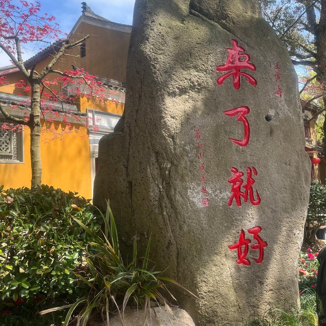 东东
