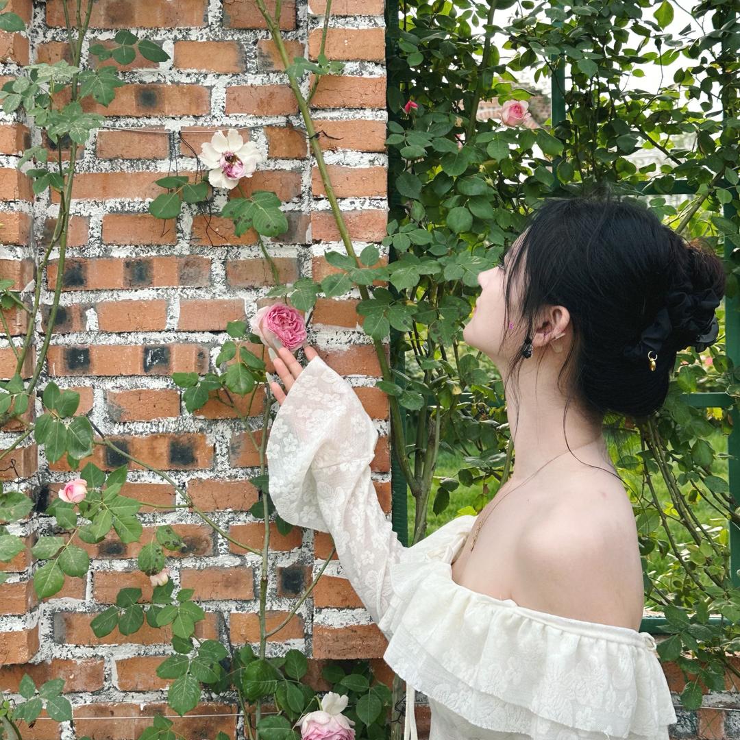 姣姣吃饱饭
