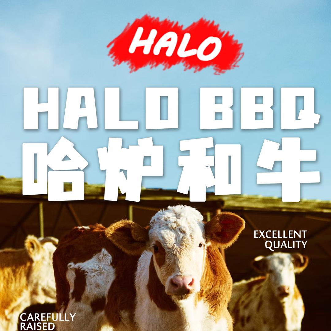 HALO•哈炉-小谭
