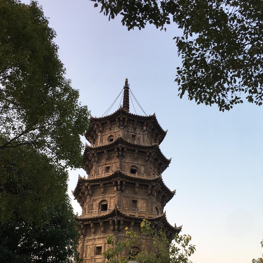 没有道理的道理