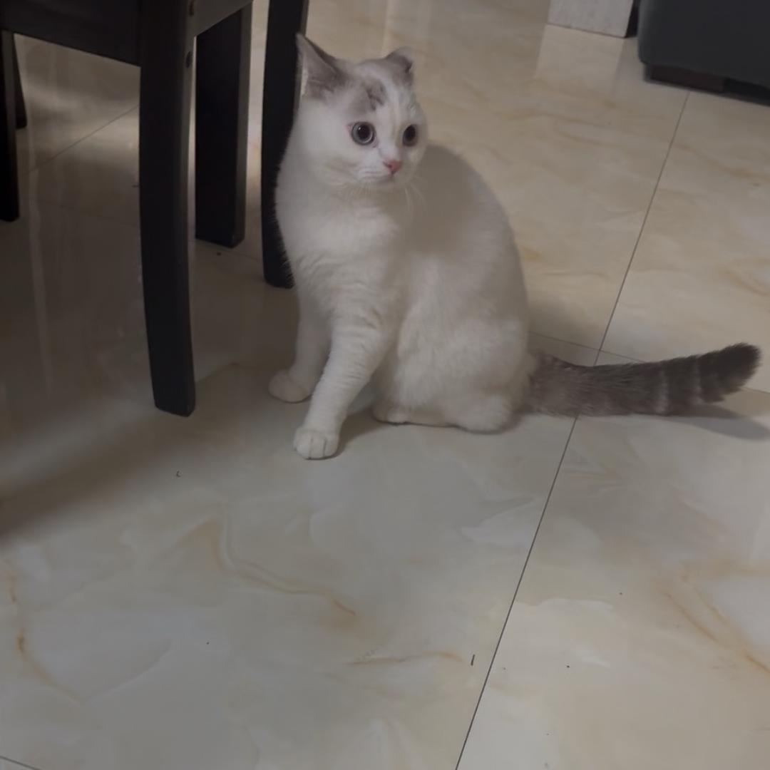 哎嘿哎
