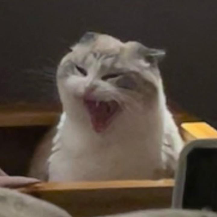 行行行了吧