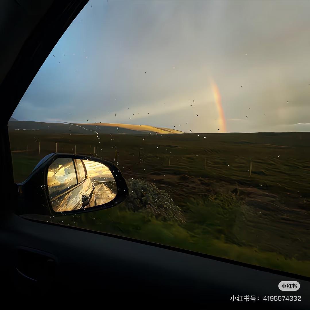 不说话就变成大海龟🐢