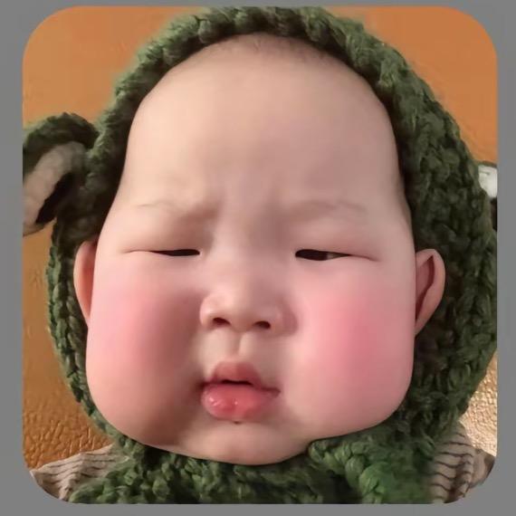 一只小浩子