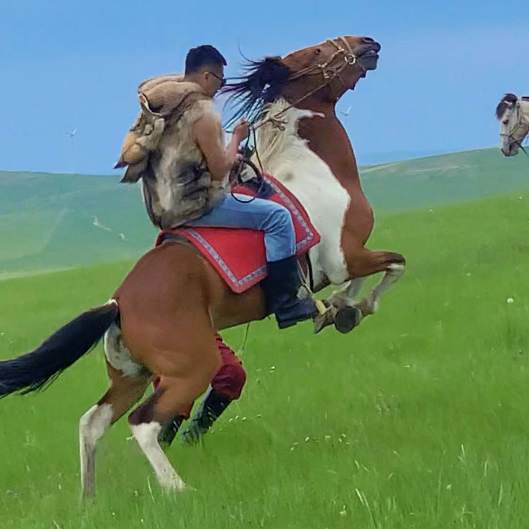 马到成功之三把刀