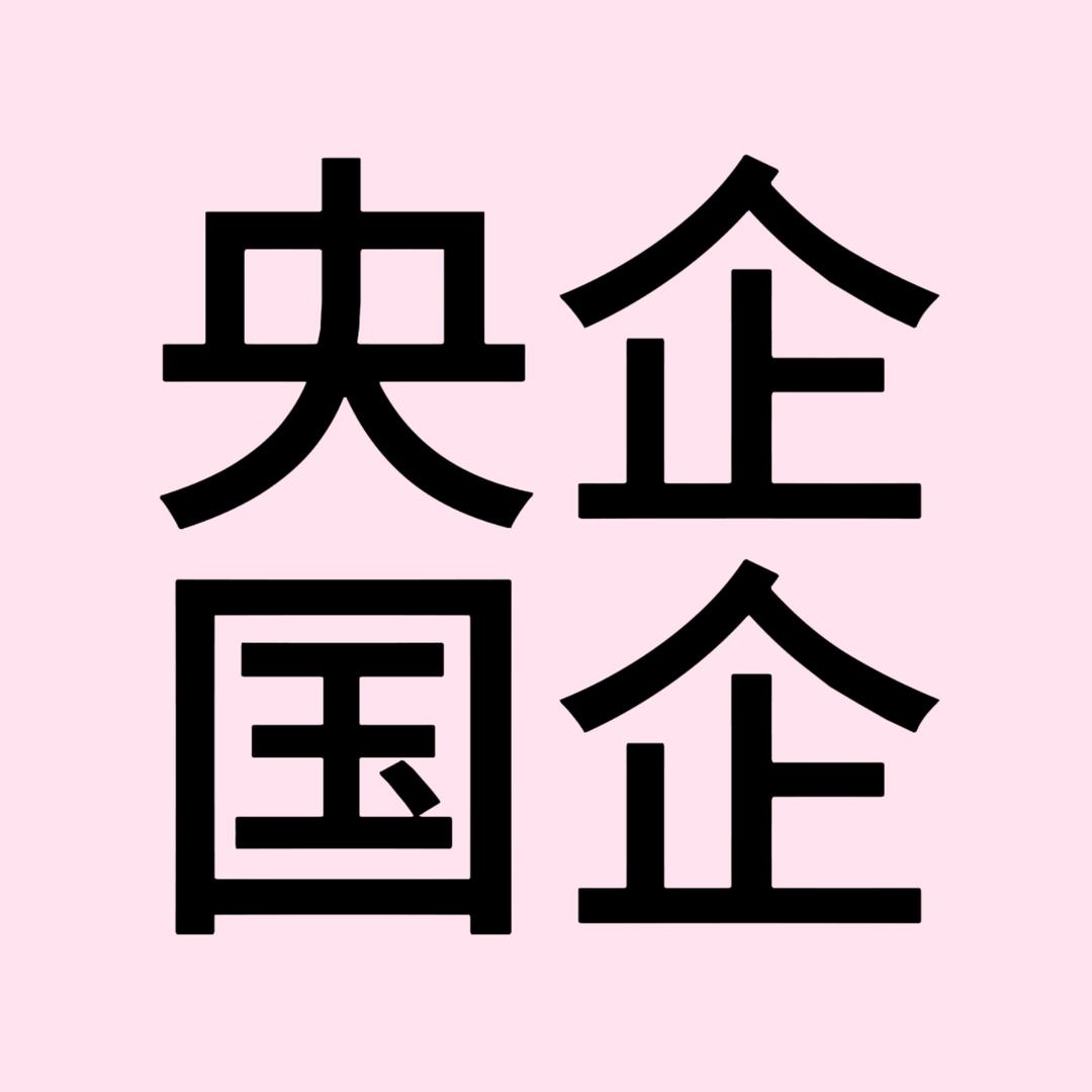 央国企就业指导～刘老师