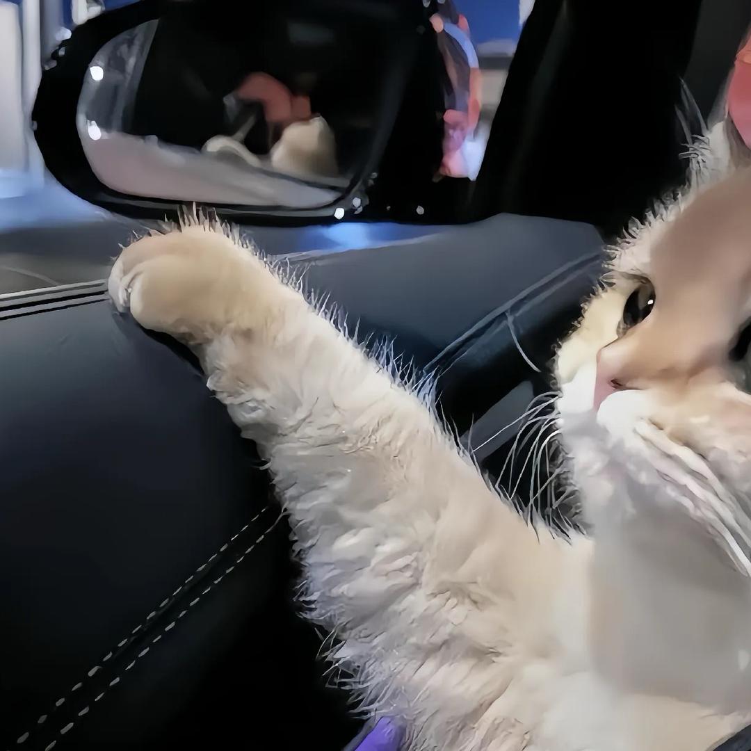 玛卡巴卡的小汽车