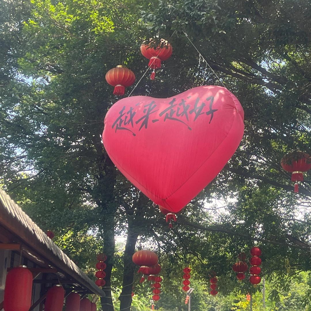 憧憬的鱼