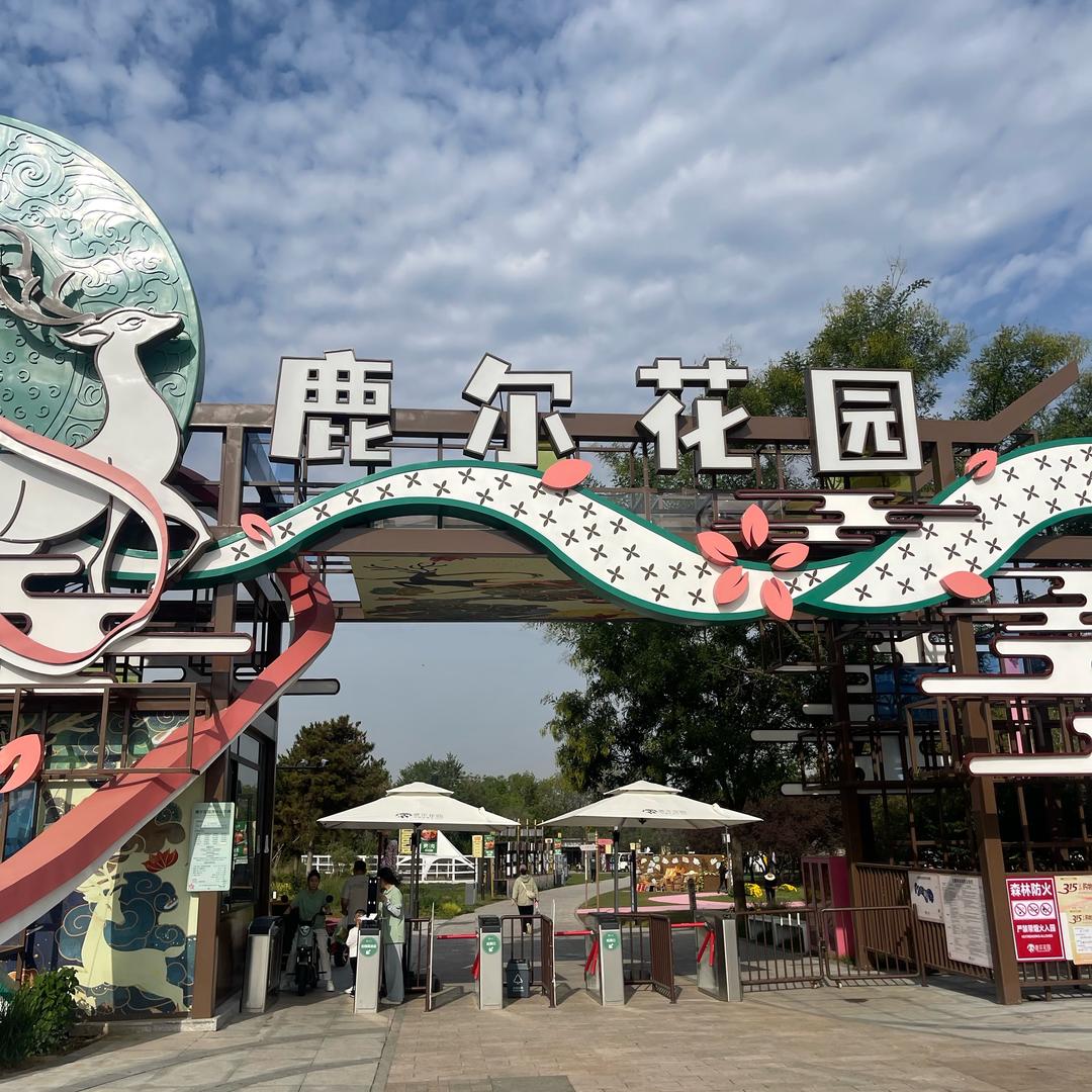 仲达网络~游玩推荐官