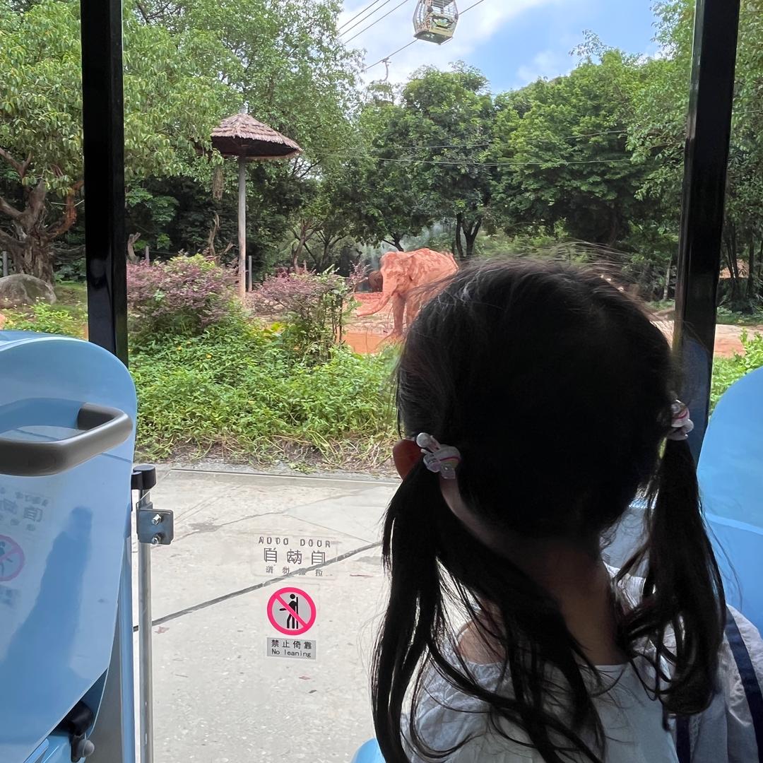 夏日小憩