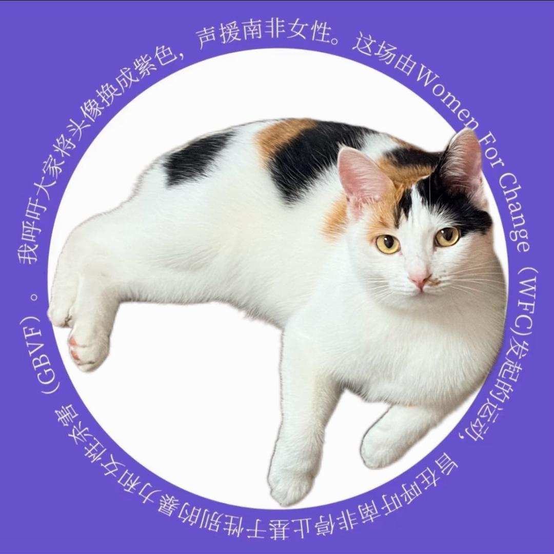 给我点钱