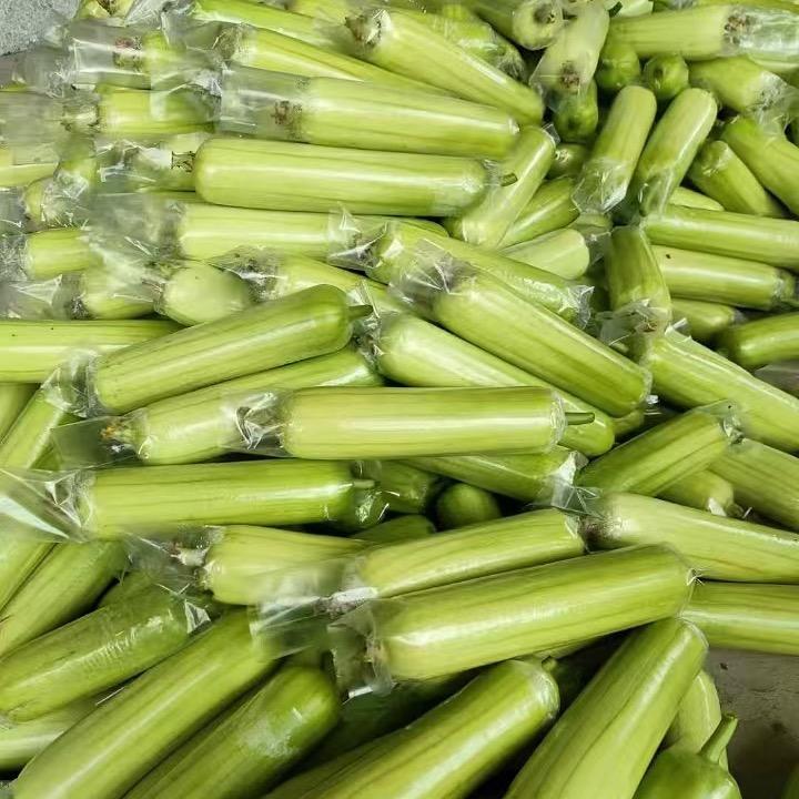 伊杰
