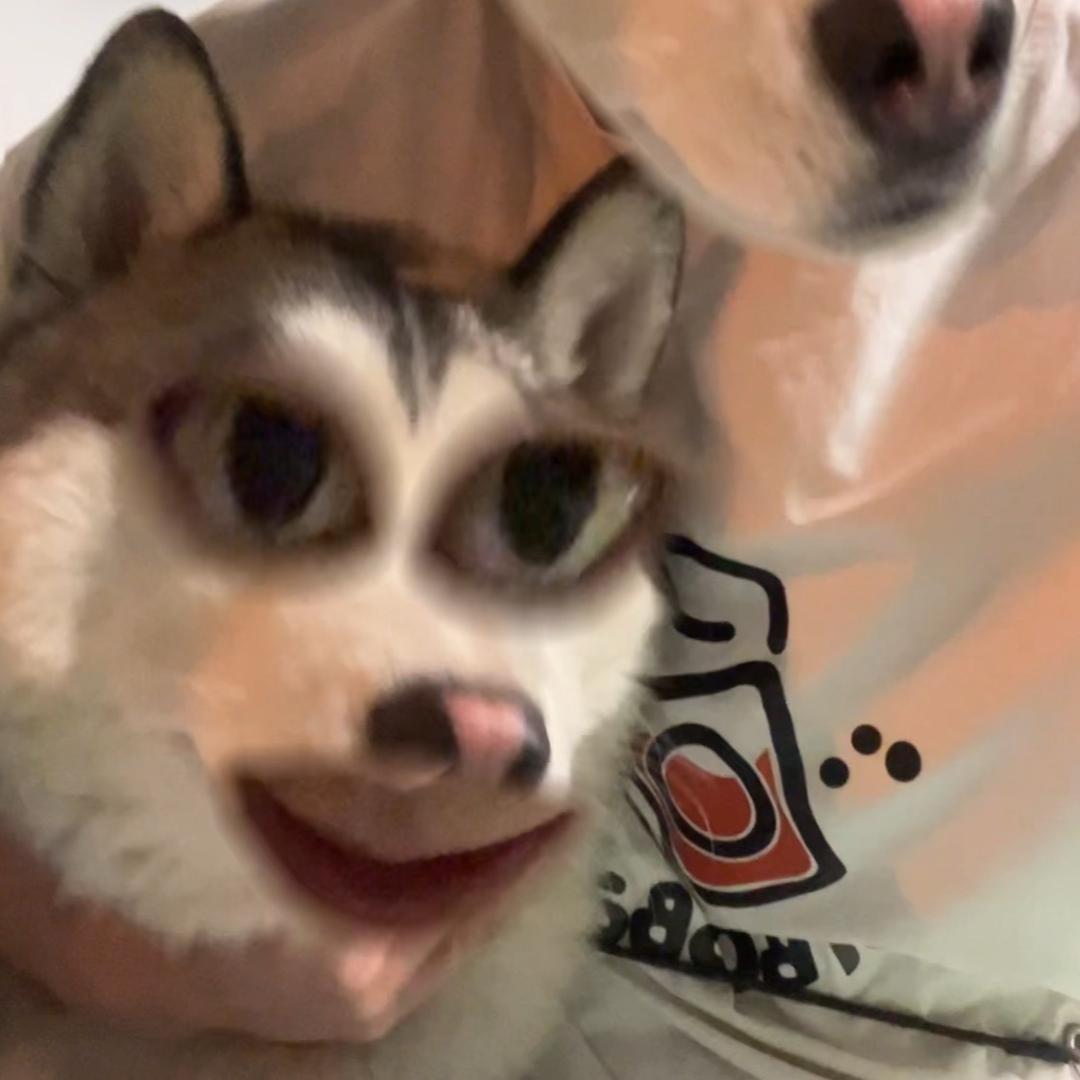 王一丞