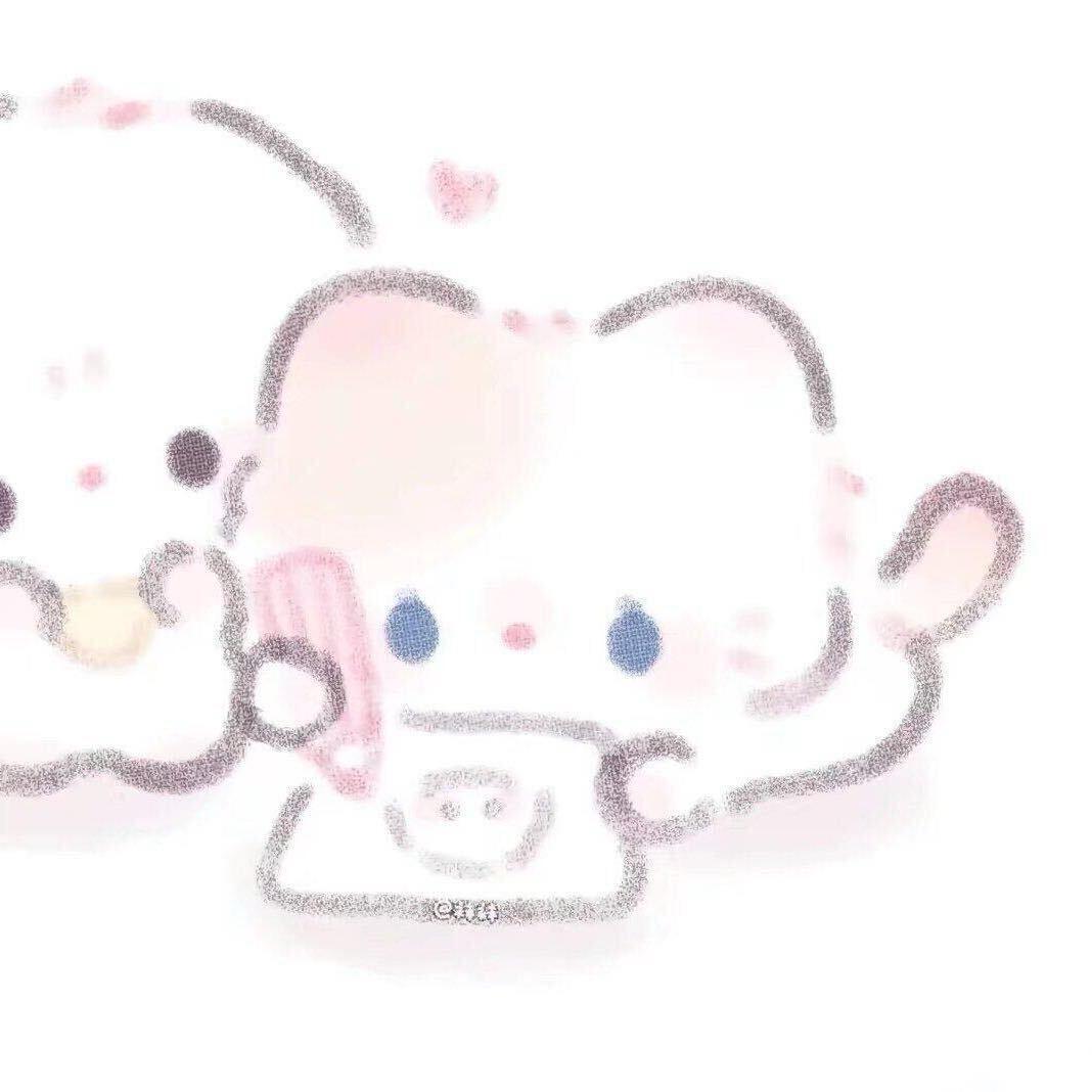 邵雪