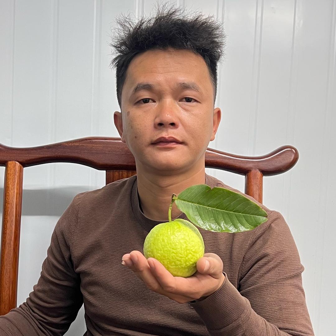 早尚农业番石榴种植基地