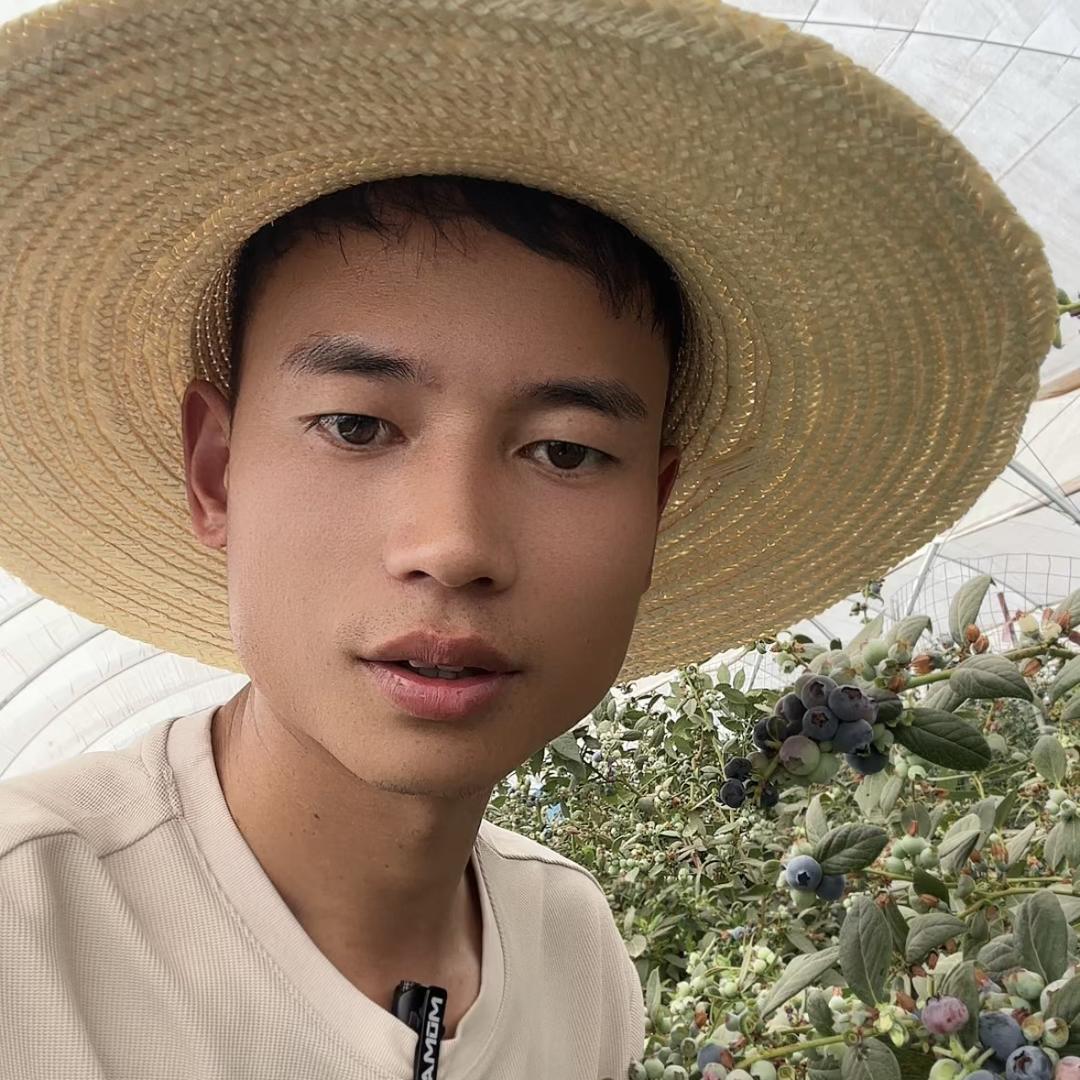 云南阿潇（人力资源）招工