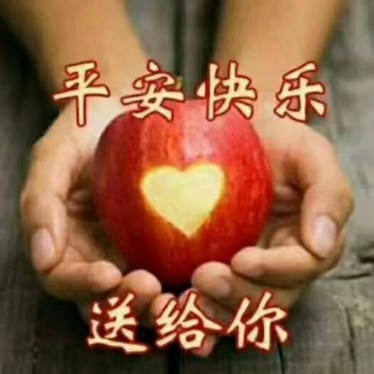 媛媛关赞必回